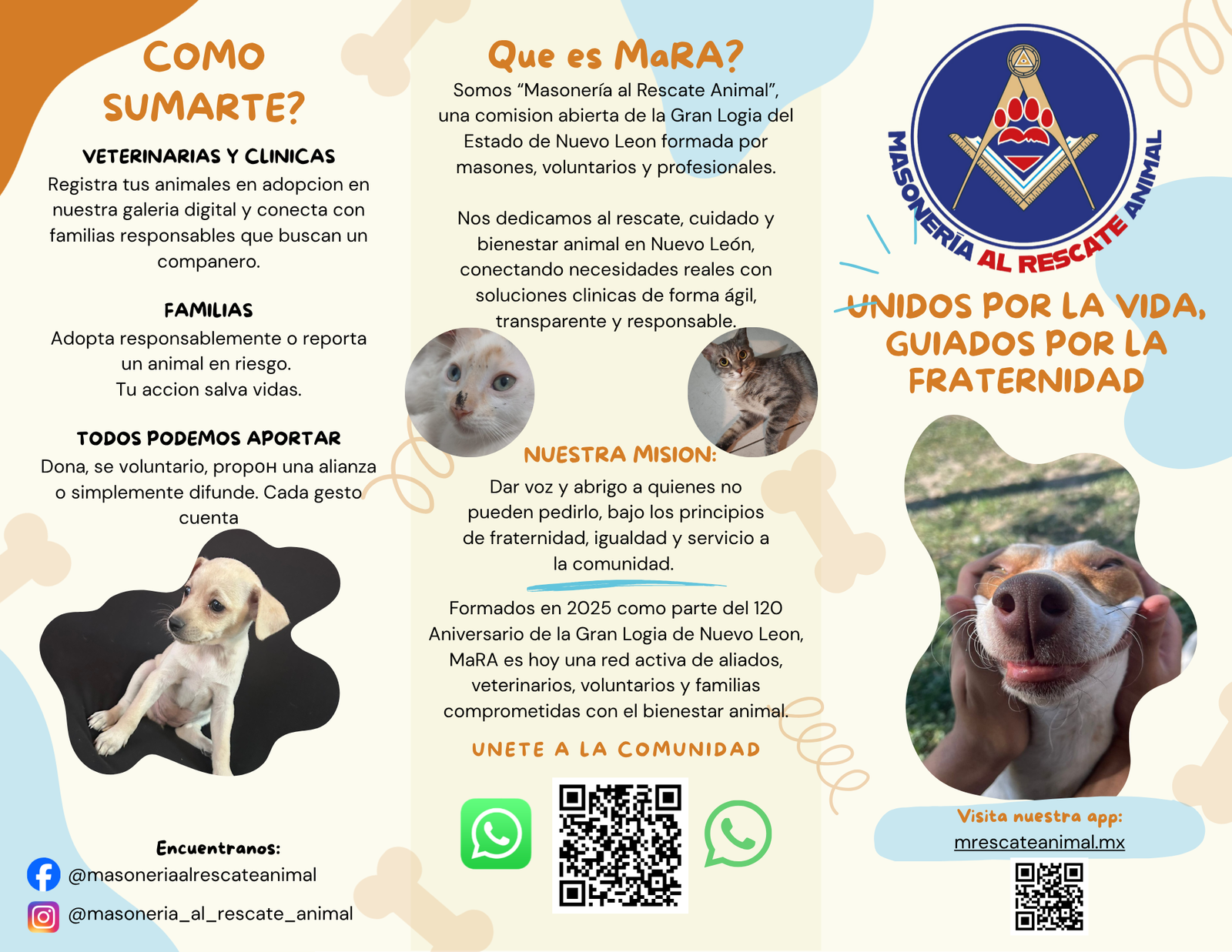 Renderización